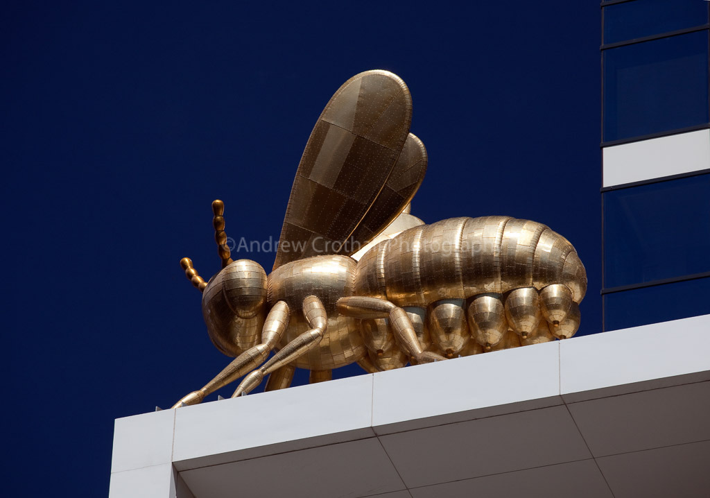 Queen Bee