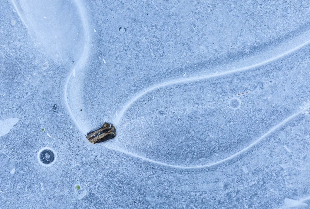 ice patterns #5