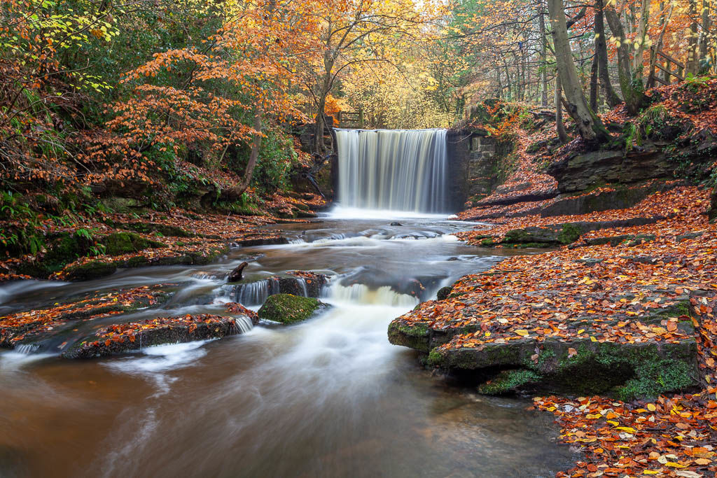 Nant Mill Country Park