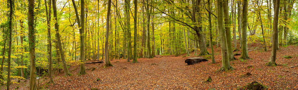 Nant Mill country park