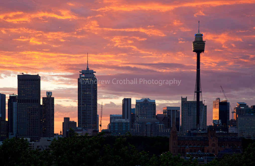 Sydney skyline #2