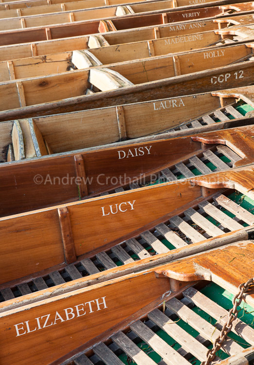 Punts