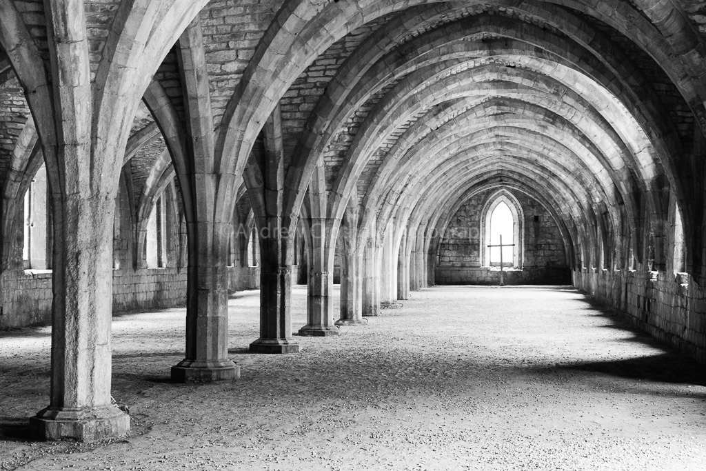The Cellarium