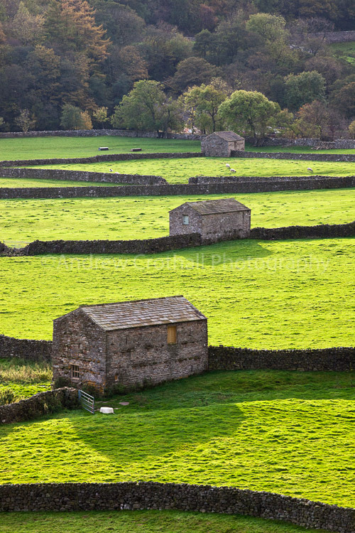 Swaledale barns