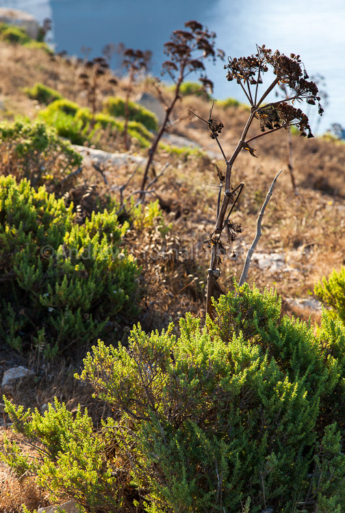 Clinging to the Cliff
