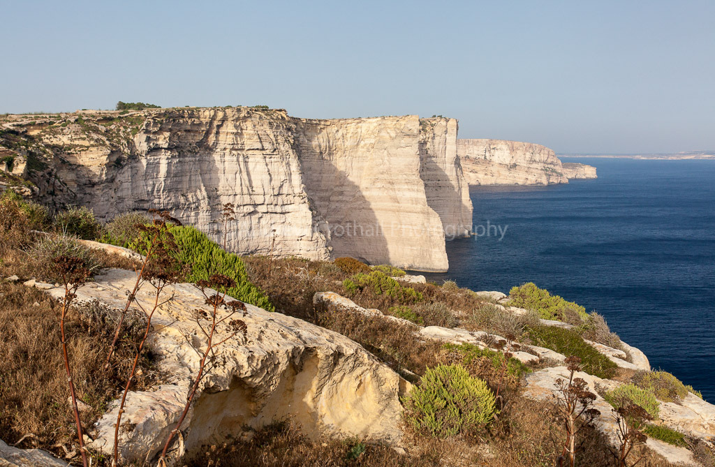 Rugged Coast