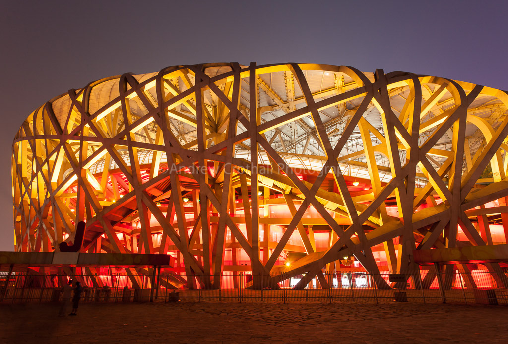 The Birds Nest