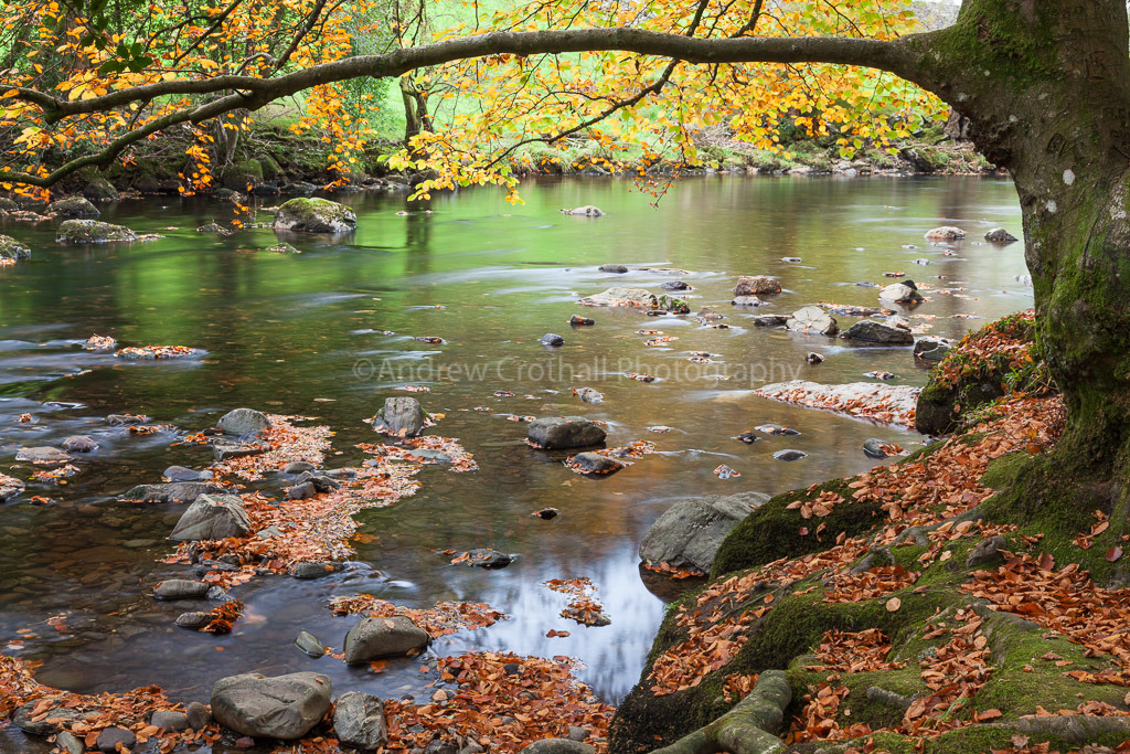 Autumn river