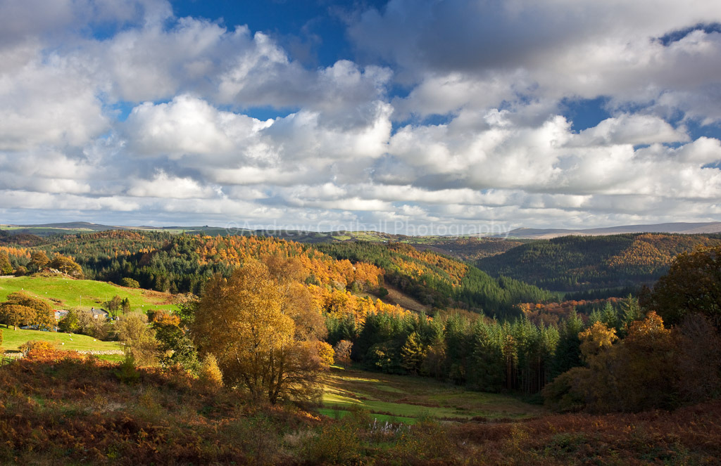 Towards Betws-y-Coed