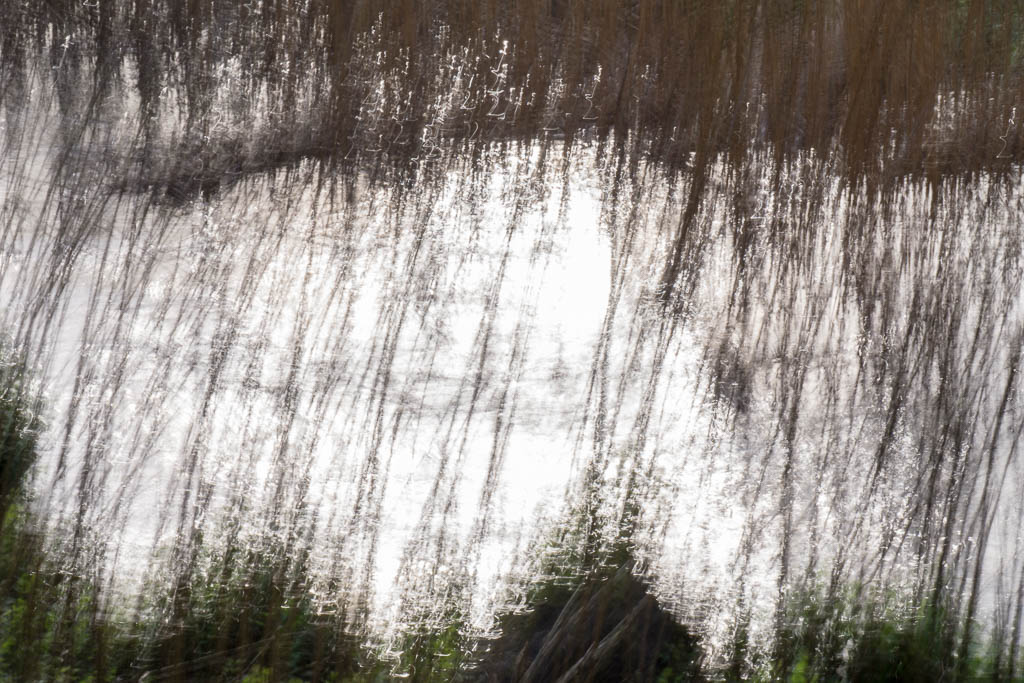 the flowing stream