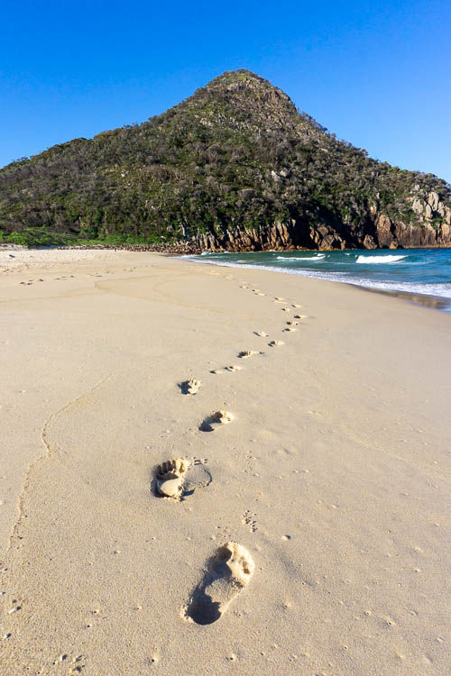 tomaree mountain