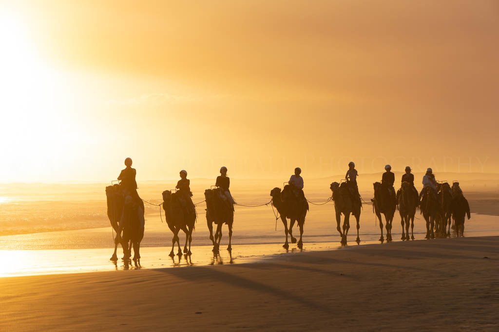 camel ride on Birubi beach