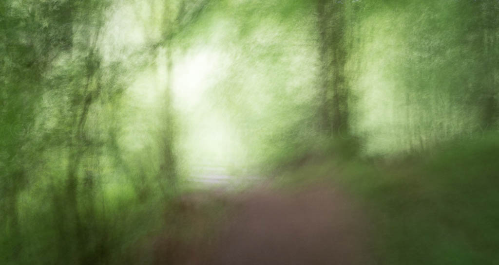 ethereal woods