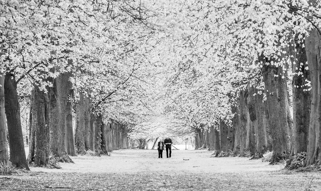 strolling down the avenue