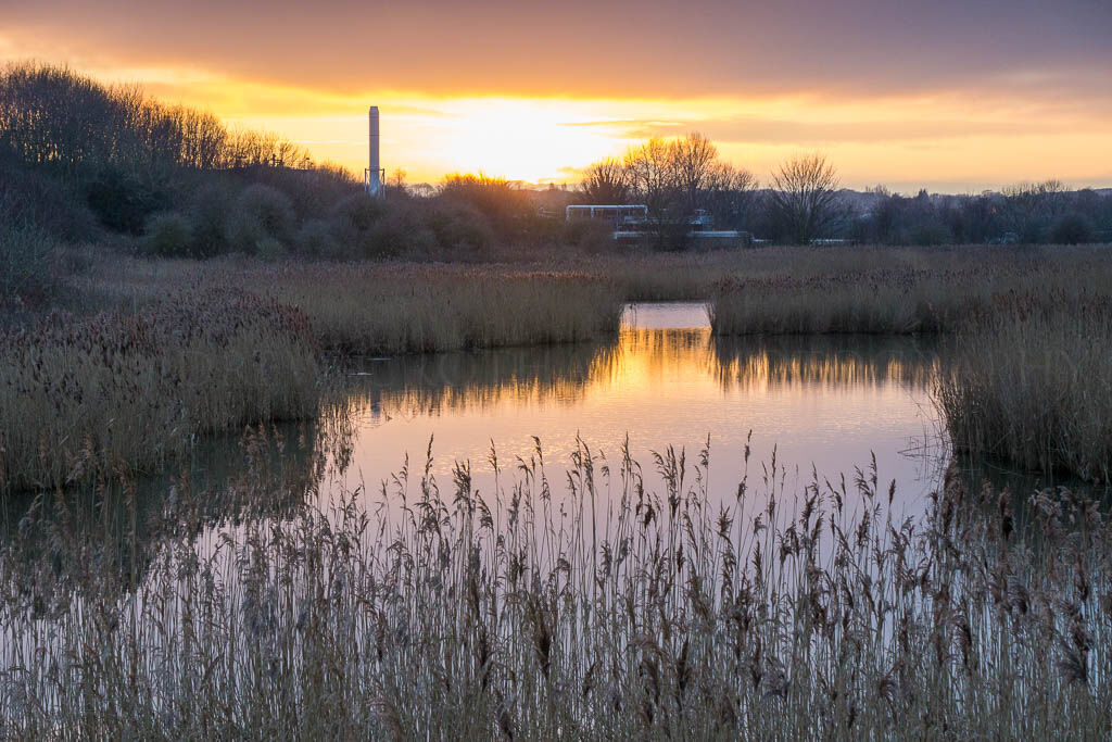 The lake at Port Sunlight River Park