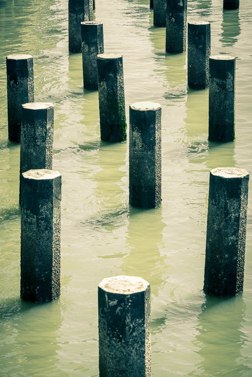 Pier piles