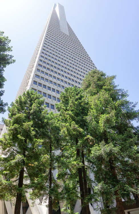 Transamerica pyramid