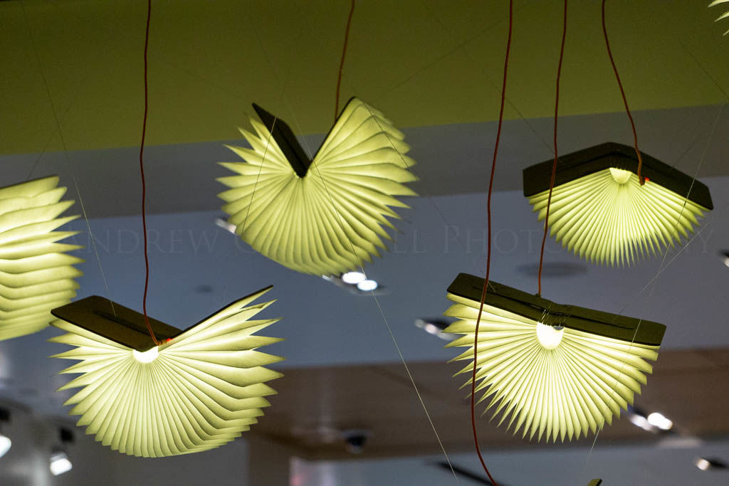 book lights