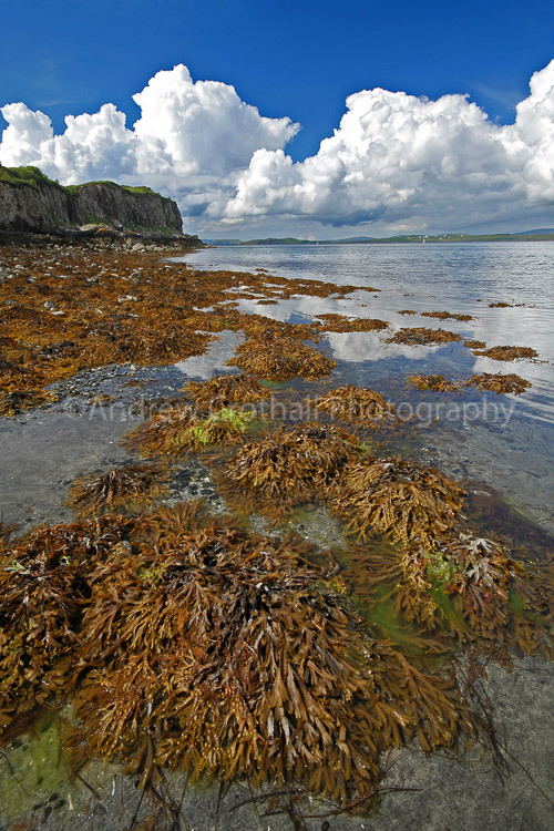 Fiskavaig Bay