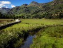Summer in Langdale