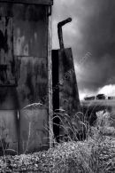 Dungeness Beach