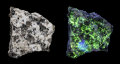 Mineral Autunite from Dartmoor, in visible light, and fluoprescing in UV light.