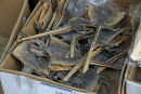 Dried lizards for sale in a herbal medicine market, Hong Kong