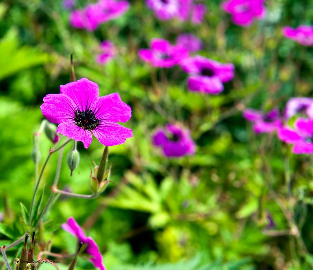 085