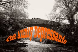 Aunty Depressants Band (1)
