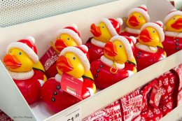 Dunelm Carmarthen (14)