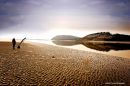 Ferryside2013 17