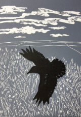 Black Crow in the Meadow