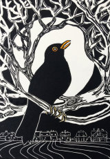 Blackbird singing in the dead of night