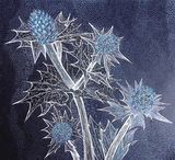 'Sea Holly III' (Sold)