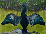 'Anhinga'