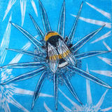 'Buff Tailed Bumblebee' (sold)