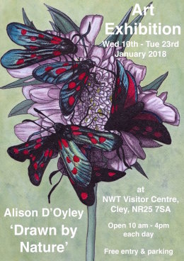 Exhibition now on at NWT Cley Visitor Centre