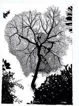 'Lace Tree'