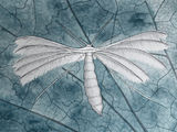 'White Plume Moth'