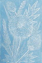 'Thistle and Grasses 2'