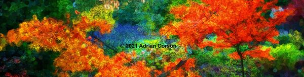 103-autumn trees