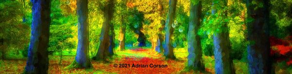 104-autumn tree avenue