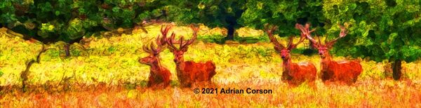 114-stags