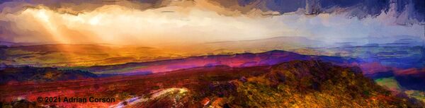 175-purple moorland