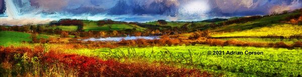 188-green fields