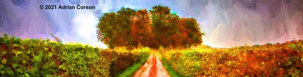 189-view to autumn woods