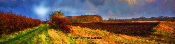 199-autumn fields