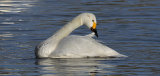 Slimbridge