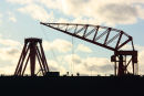 Swan Hunter Cranes