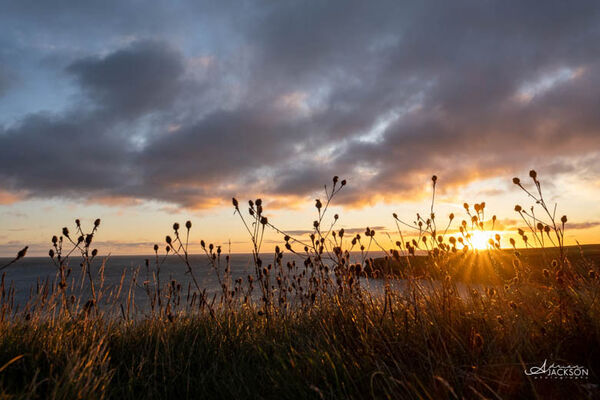 Sunrise